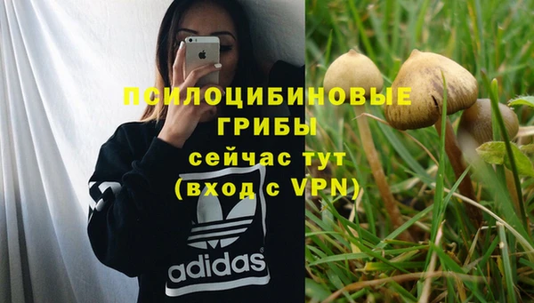 а пвп мука Алексин