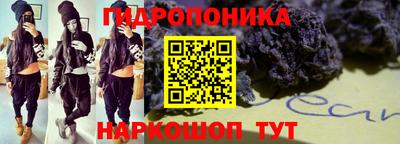 гашик Жуковский