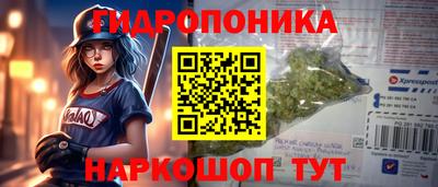 гашик Жуковский