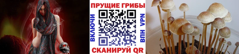 цена   МЕГА вход  Псилоцибиновые грибы Magic Shrooms  Магадан 