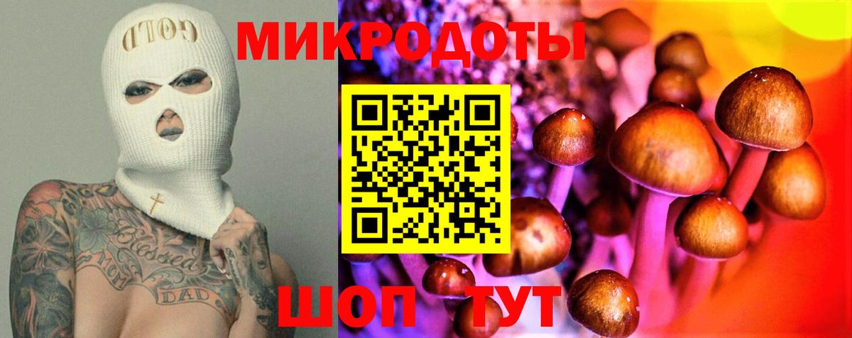 Магадан  Псилоцибиновые грибы Magic Shrooms  Вход с VPN 