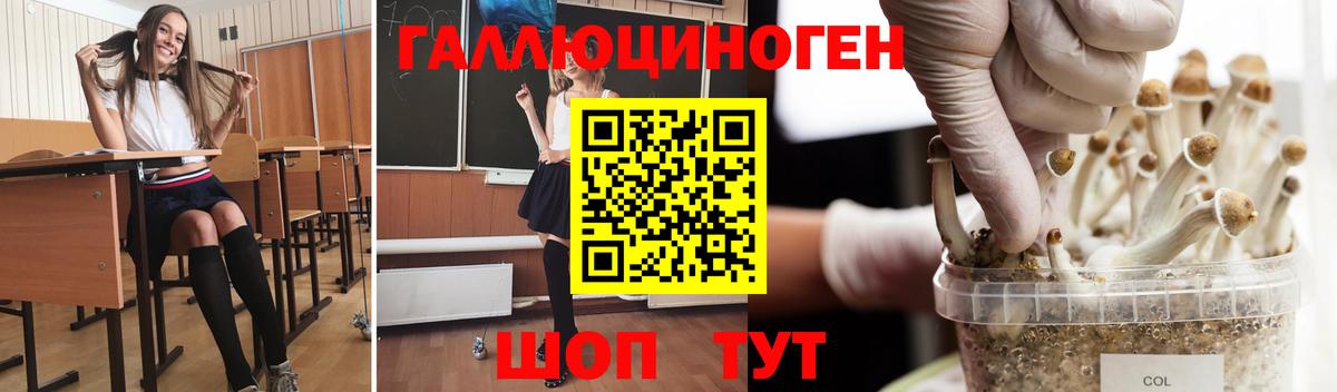 Галлюциногенные грибы мухоморы Магадан